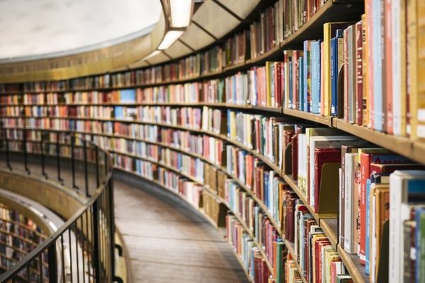 Comment bien équiper les fenêtres de sa bibliothèque ? 